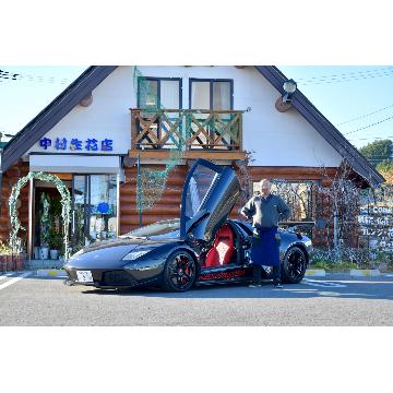 ���̑��摜