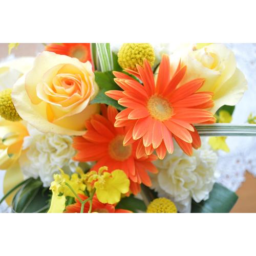 �L���[�g�ȃA�����W�����g�@SweetAngel�@�i�o���ƃK�[�x���̃t�����[�A�����W�����g�j���F�I�����W�n�@�a�����A�����L�O���A���j���A���\��A�R���T�[�g�A���C�u4