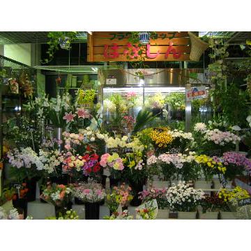 �X�܊O�ω摜