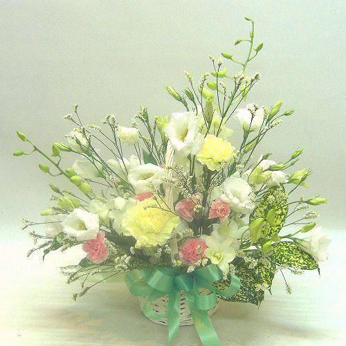 Many kisses on Mothers��Fathers Day1