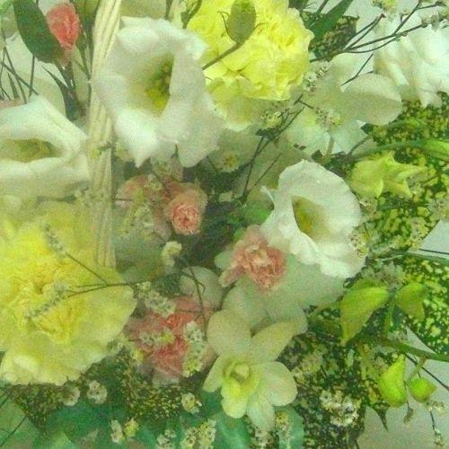 Many kisses on Mothers��Fathers Day3