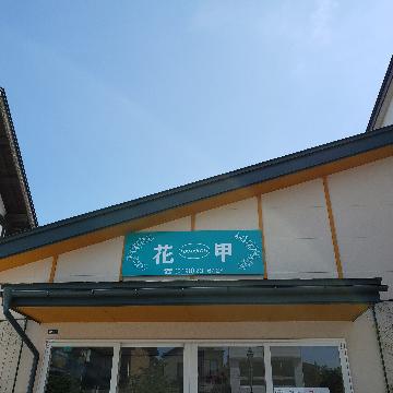 ���̑��摜
