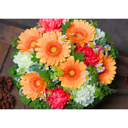 ���ʉ�u�K�[�x���A�����W�����gM�v�I�����W3