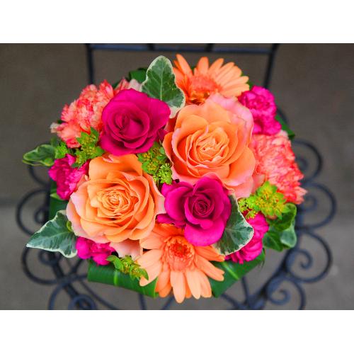 ����ς��K�N�I�yLe Rose(�� ���[�[�jM �r�r�b�h�z4