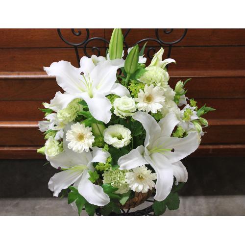 ���炩�Ȕ��������u�������A�������[�v�z���C�gR08ARW2