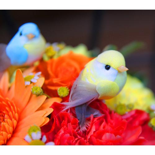 �u���[�n�[�g�A�����W2