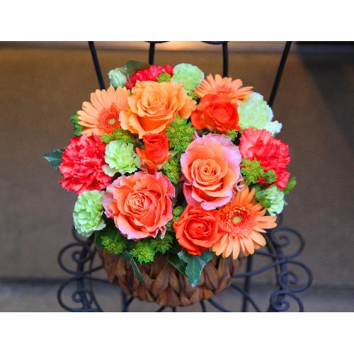 ����ς�o���I�yLe Rose(�� ���[�[�j�k �I�����W�z3