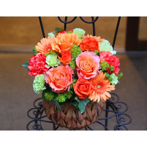 ����ς�o���I�yLe Rose(�� ���[�[�j�k �I�����W�z4