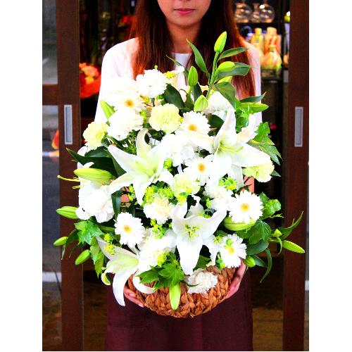 ���~�E�V�~�p�@���炩�Ȕ��������u�������A�������[�v�z���C�gR10ARW3