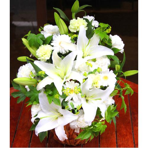���~�E�V�~�p�@���炩�Ȕ��������u�������A�������[�v�z���C�gR10ARW4