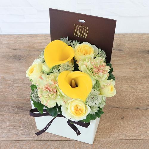 �t�����A���u�V�����}���X�y�V�����e�v