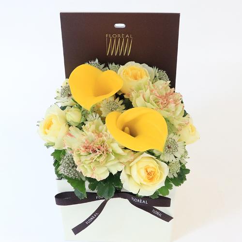 �t�����A���u�V�����}���X�y�V�����e�v2