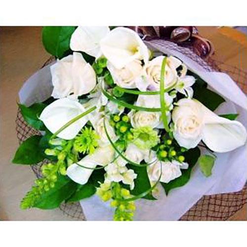 �z���C�gBOX1