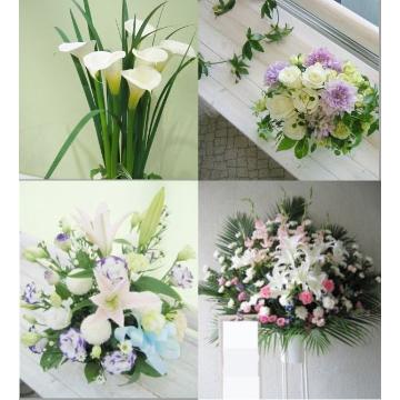�X�^�b�t�摜
