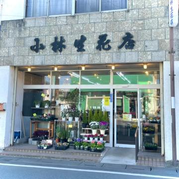 �X�܊O�ω摜