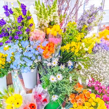 �X�ܓ��ω摜