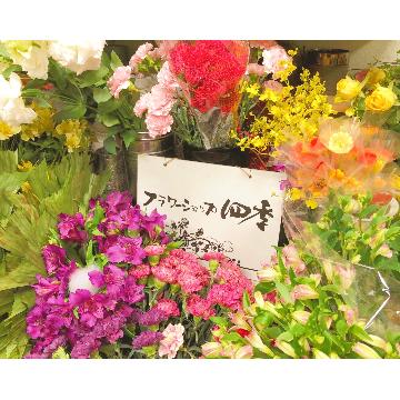 �X�܊O�ω摜
