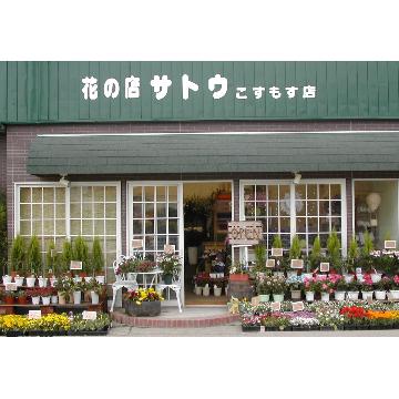 �X�܊O�ω摜