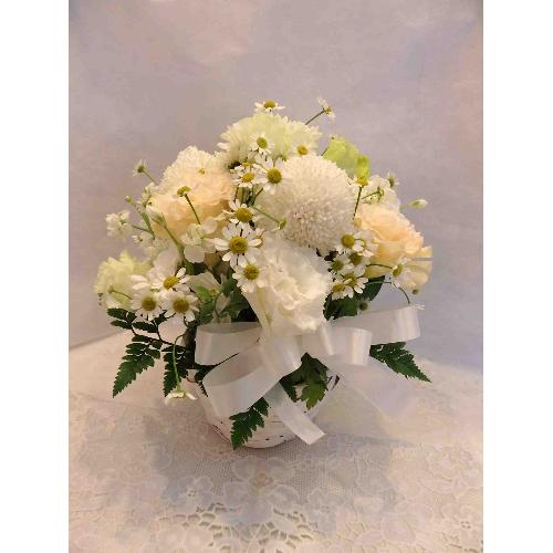 �s���|���}���̉����������A�����W�����g5