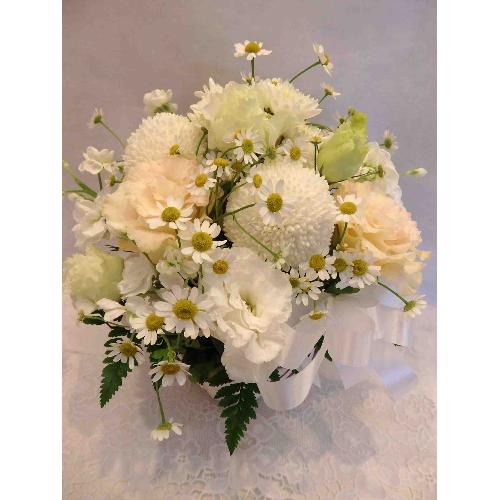 �s���|���}���̉����������A�����W�����g7