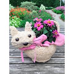 �l�R�����o�X�P�b�g�@
