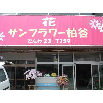 �X�܊O�ω摜