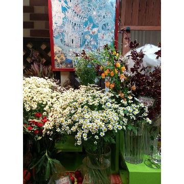 �X�^�b�t�摜