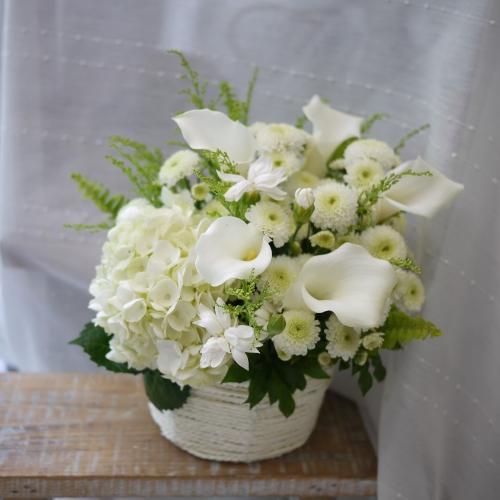 �S���a�ށE�E�E�ӂ���ƁI�����ƁI1