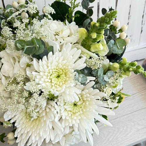 �S���a�ށE�E�E�ӂ���ƁI�����ƁI2