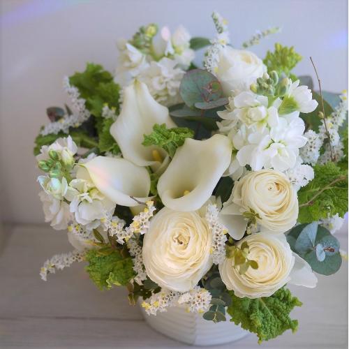 �S���a�ށE�E�E�ӂ���ƁI�����ƁI4