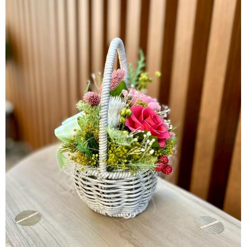 �v���U�[�u�h�t�����[�\���x �G�b�O3