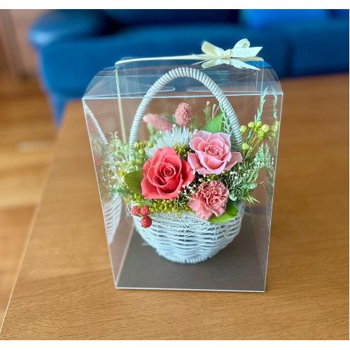 �v���U�[�u�h�t�����[�\���x �G�b�O5