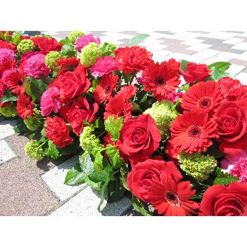 �X�܊O�ω摜