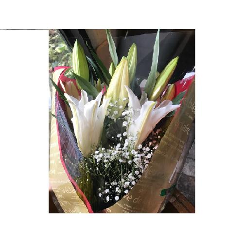 �Y�n�����o���ԑ��i40�{�j�s���N�n2