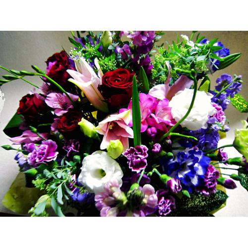 �h�M�[�̂��U���v���X�@�t���O�����X�����G�}2