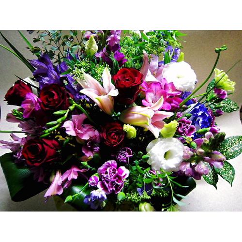 �h�M�[�̂��U���v���X�@�t���O�����X�����G�}3