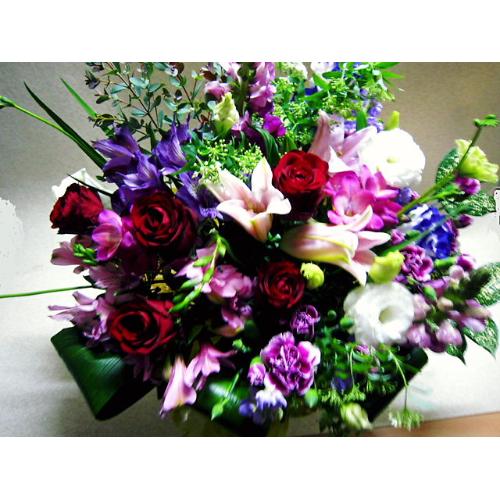 �h�M�[�̂��U���v���X�@�t���O�����X�����G�}5
