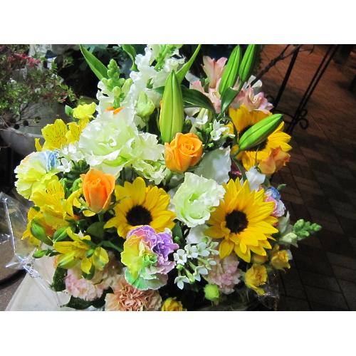 �v�`�ґ�ȃu�[�P�@WhiteEngel�@�i�g���R�L�L���E�̉ԑ��j���n�@�a�����A�����L�O���A���j���A�����}�i���ʁA���}�j�A�ސE�j���A���\��1