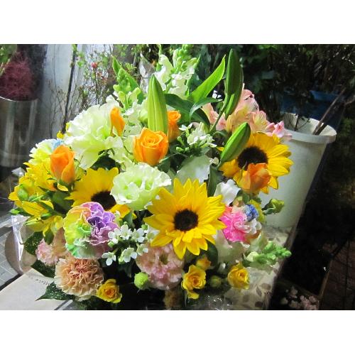 �v�`�ґ�ȃu�[�P�@WhiteEngel�@�i�g���R�L�L���E�̉ԑ��j���n�@�a�����A�����L�O���A���j���A�����}�i���ʁA���}�j�A�ސE�j���A���\��3