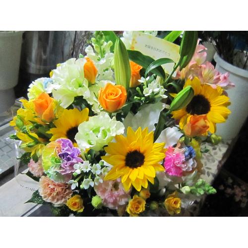 �v�`�ґ�ȃu�[�P�@WhiteEngel�@�i�g���R�L�L���E�̉ԑ��j���n�@�a�����A�����L�O���A���j���A�����}�i���ʁA���}�j�A�ސE�j���A���\��4