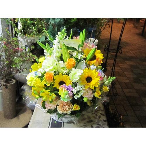 �v�`�ґ�ȃu�[�P�@WhiteEngel�@�i�g���R�L�L���E�̉ԑ��j���n�@�a�����A�����L�O���A���j���A�����}�i���ʁA���}�j�A�ސE�j���A���\��5