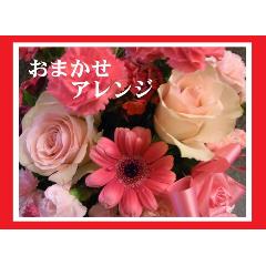 ��s���N�E���b�h�n���܂����A�����W����̓���