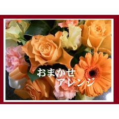 ��r�^�~���J���[���܂����A�����W����̓���