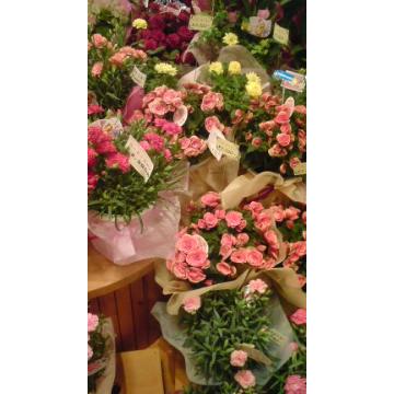 �X�܊O�ω摜