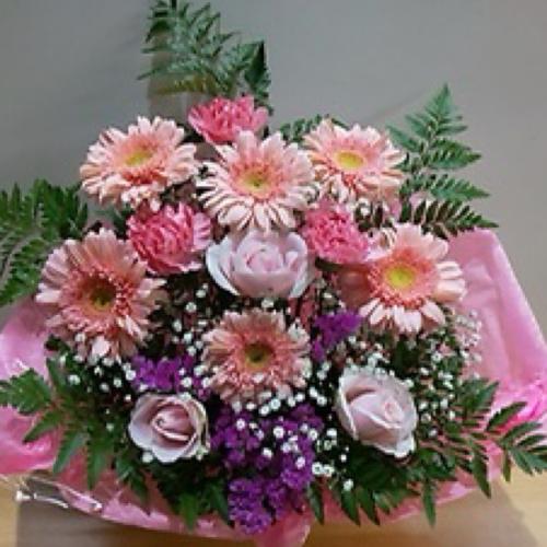 �s���N�s���N�̉����A�����W�����g�@�B2