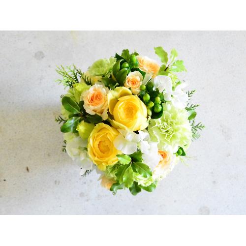 �y�b�g�����ւ̂������A�����W�����g�u���C�v1