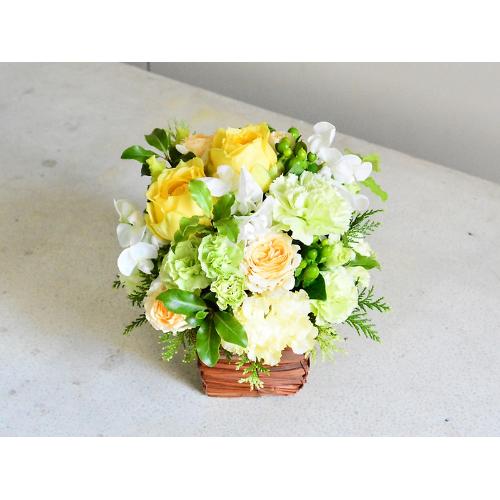 �y�b�g�����ւ̂������A�����W�����g�u���C�v2