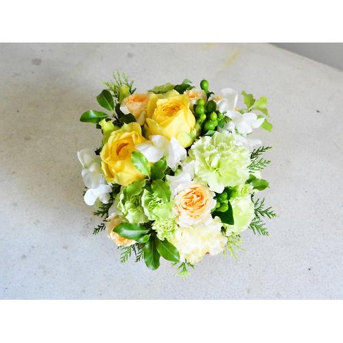 �y�b�g�����ւ̂������A�����W�����g�u���C�v3