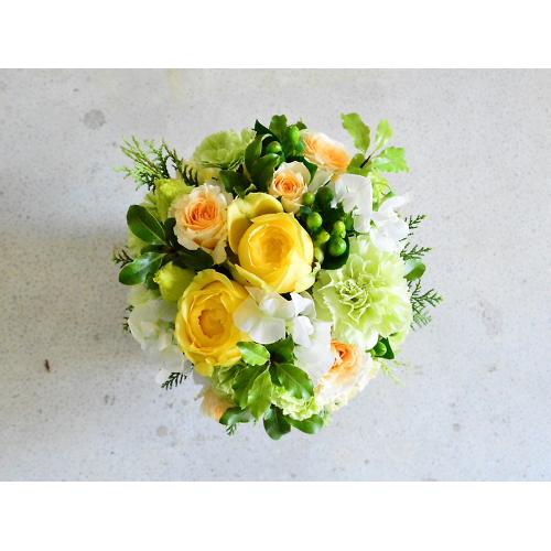 �y�b�g�����ւ̂������A�����W�����g�u���C�v4