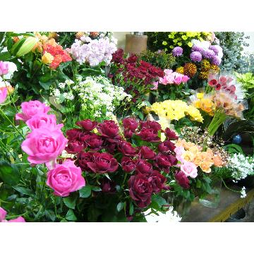 �X�܊O�ω摜